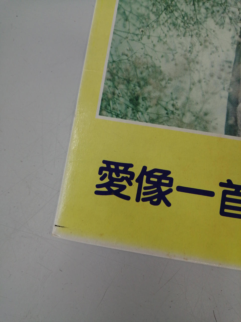 POLYDOR RECORDS Western Music: Ai Sō Ichika