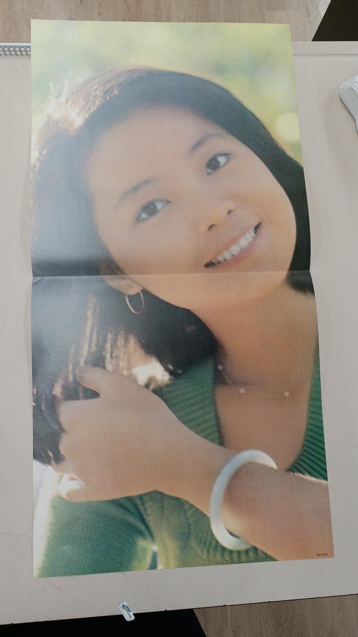 Polydor LP Record Teresa Ten / Airport Snow Makeup
