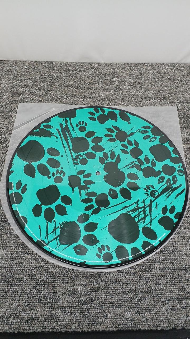WARNER THE B-52'S/WILDPLANET RPD1 3471/081227808563