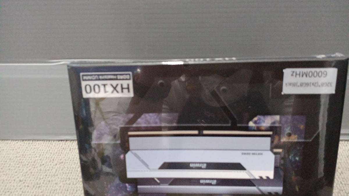 BIWIN Memory B5HX100326030ER2G-BB001