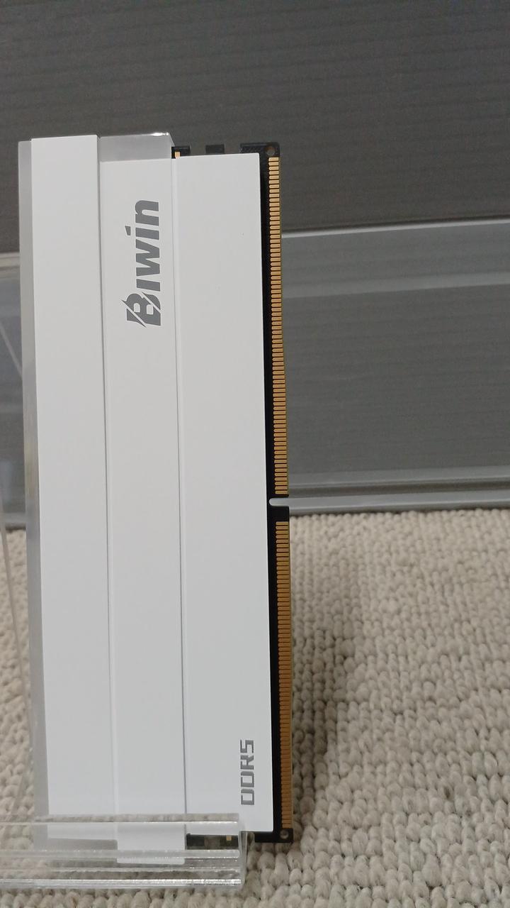 BIWIN Memory B5DW100326030ER-CW001