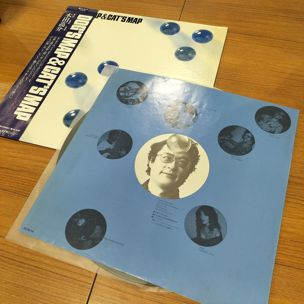 EPIC Sony LP Record DOG'S MAP & CAT'S MAP