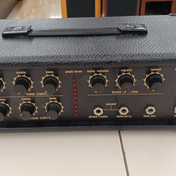 GUYATONE Analog Echo AE-5 – BanzaiHobby