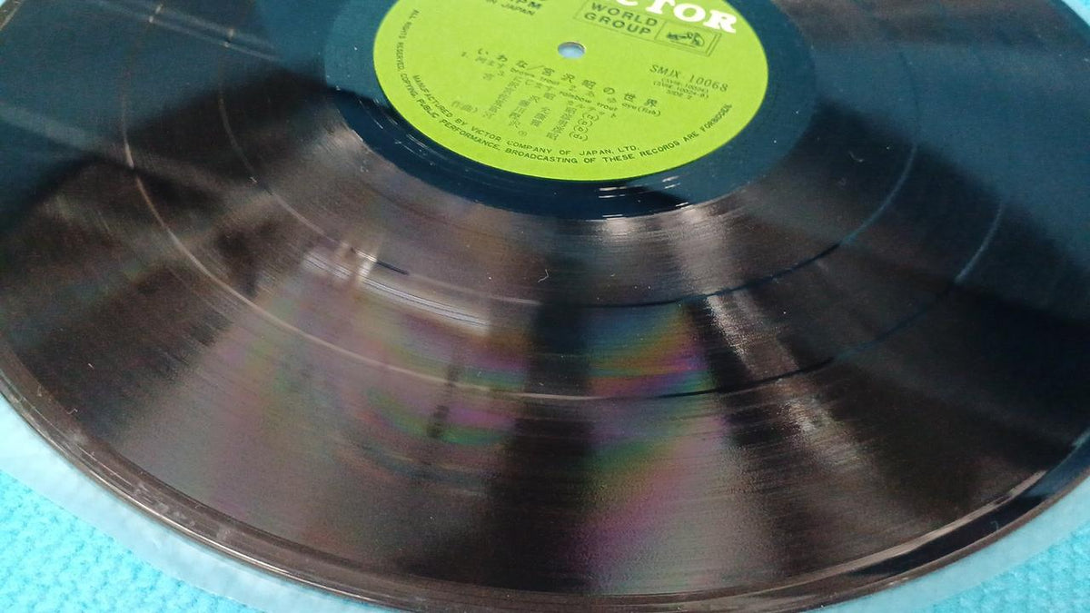 VICTOR BULL TROUT MIYAZAWA AKIRA SMJX-10068