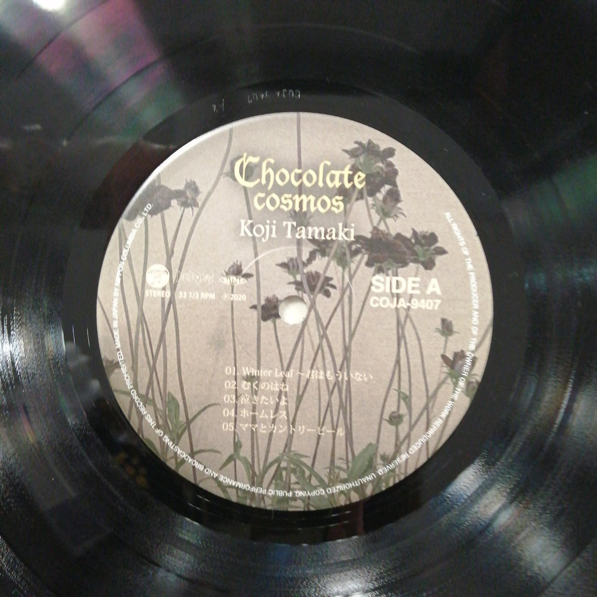 COLUMBIA KOJI TAMAKI/CHOCOLATE COSMOS COJA-9407