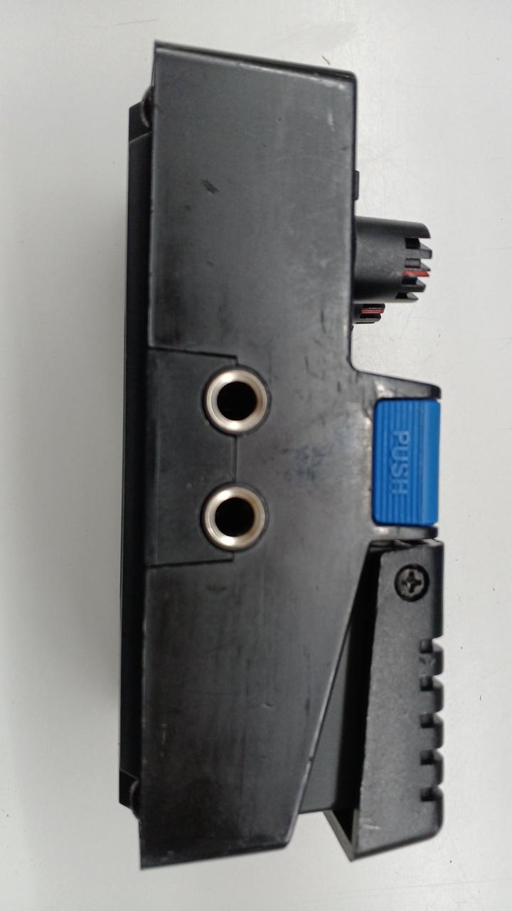 ARION Effects Pedal: SCH-Z