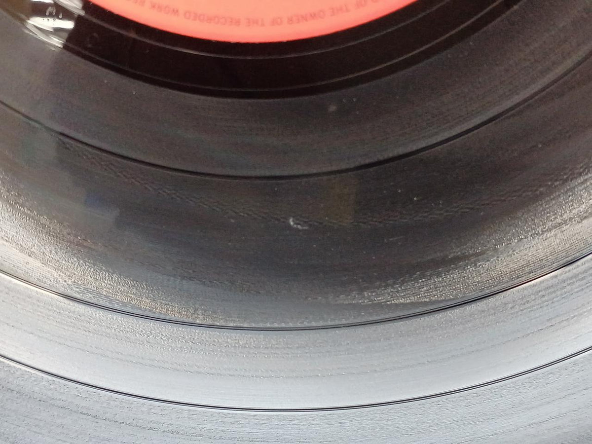 Y・E・N RECORDS Haruomi Hosono PHILHARMONY