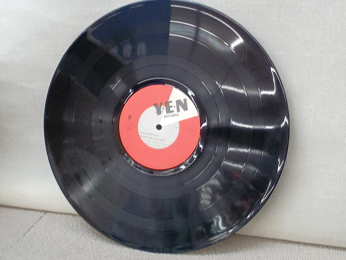 Y・E・N RECORDS Haruomi Hosono PHILHARMONY