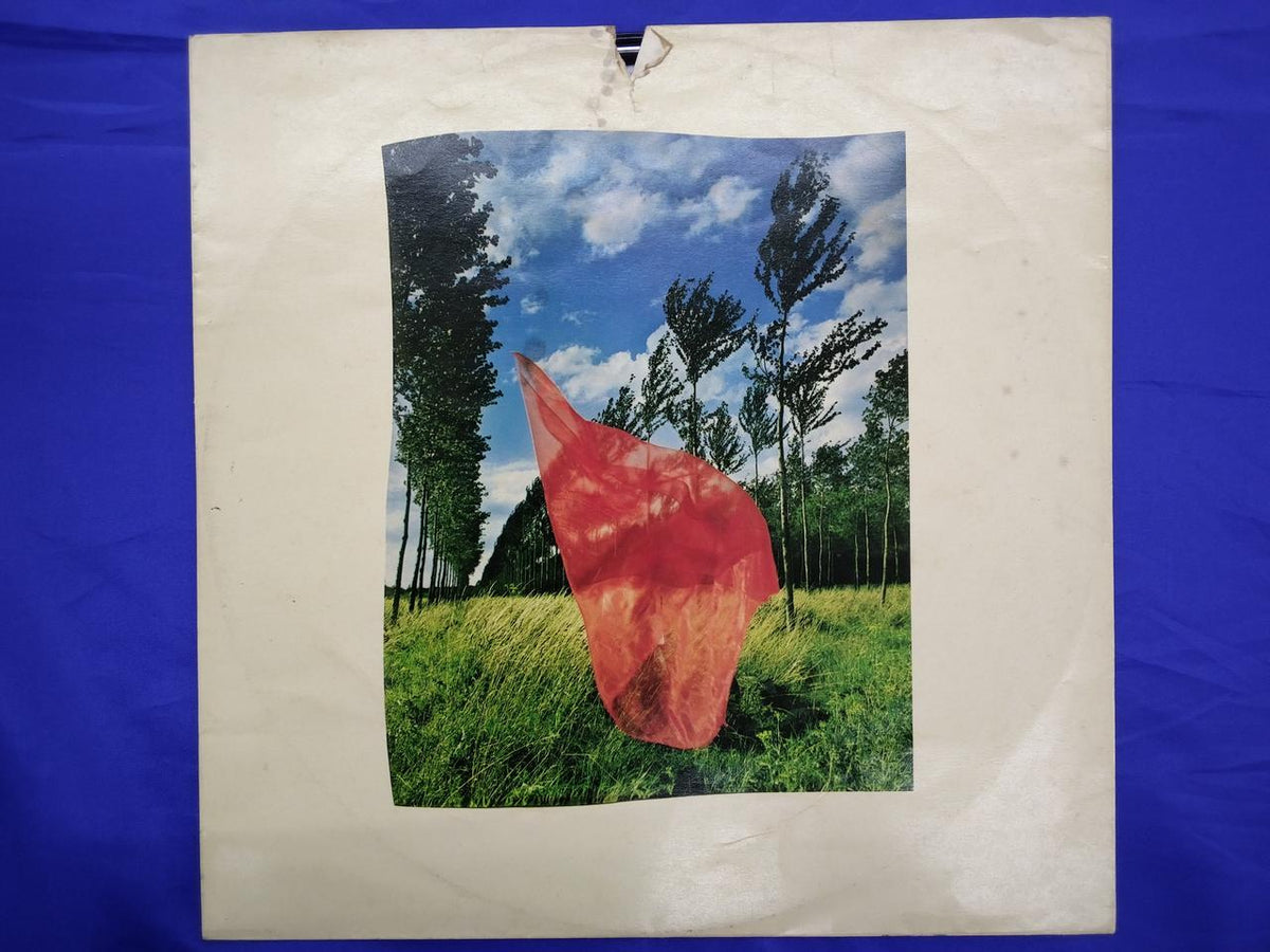 CBS/SONY Pink Floyd Flame (I want you here) SOPO100