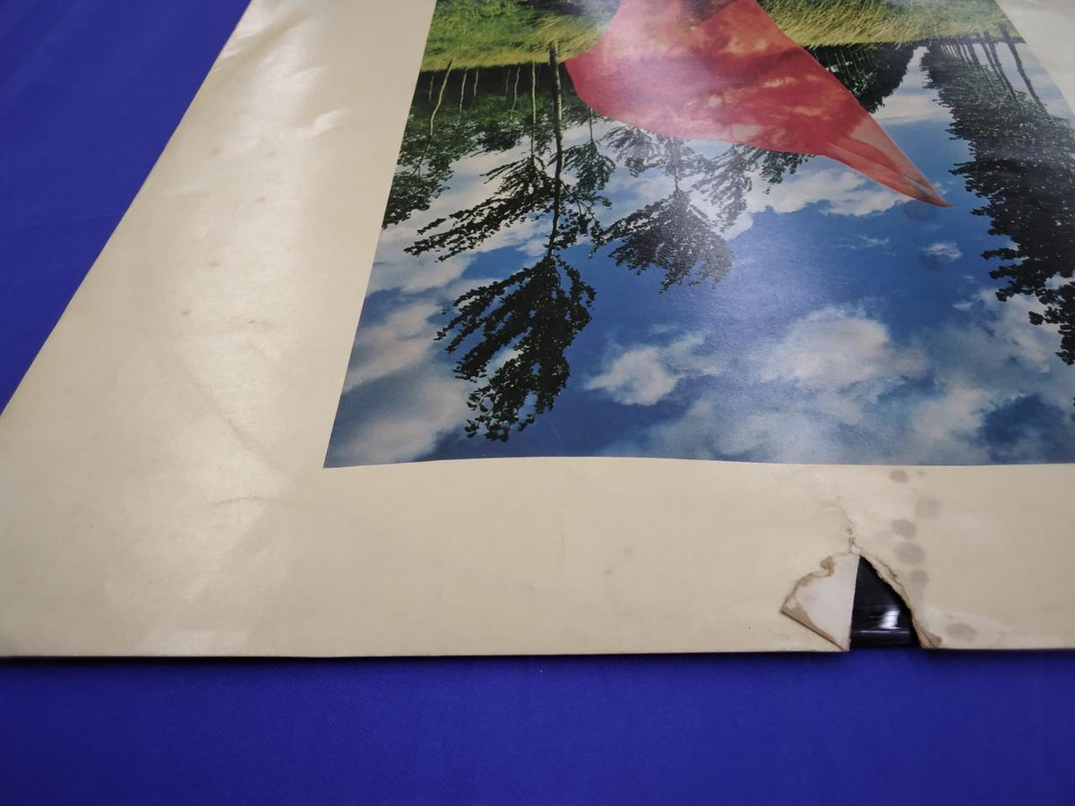CBS/SONY Pink Floyd Flame (I want you here) SOPO100