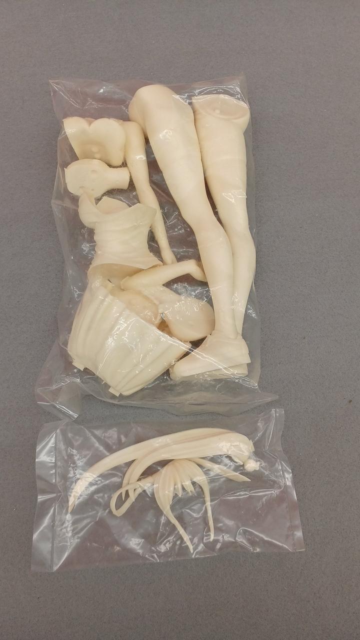 Toranoana Imari Kurumi Bible Black - Banzai Thrifting | BanzaiHobby