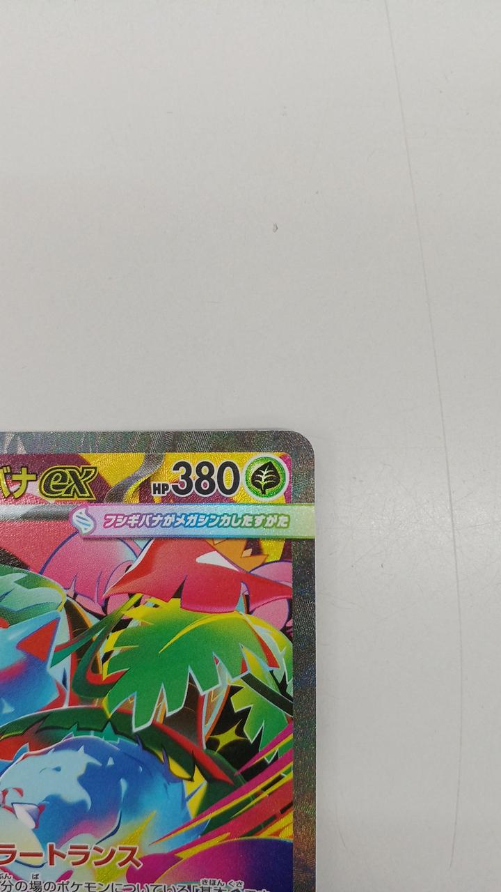 Pokémon Pokémon Card Mega Bulbulgur EX