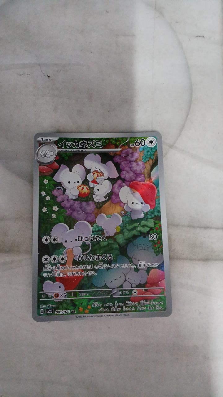 Pokémon Squid rat 081/071