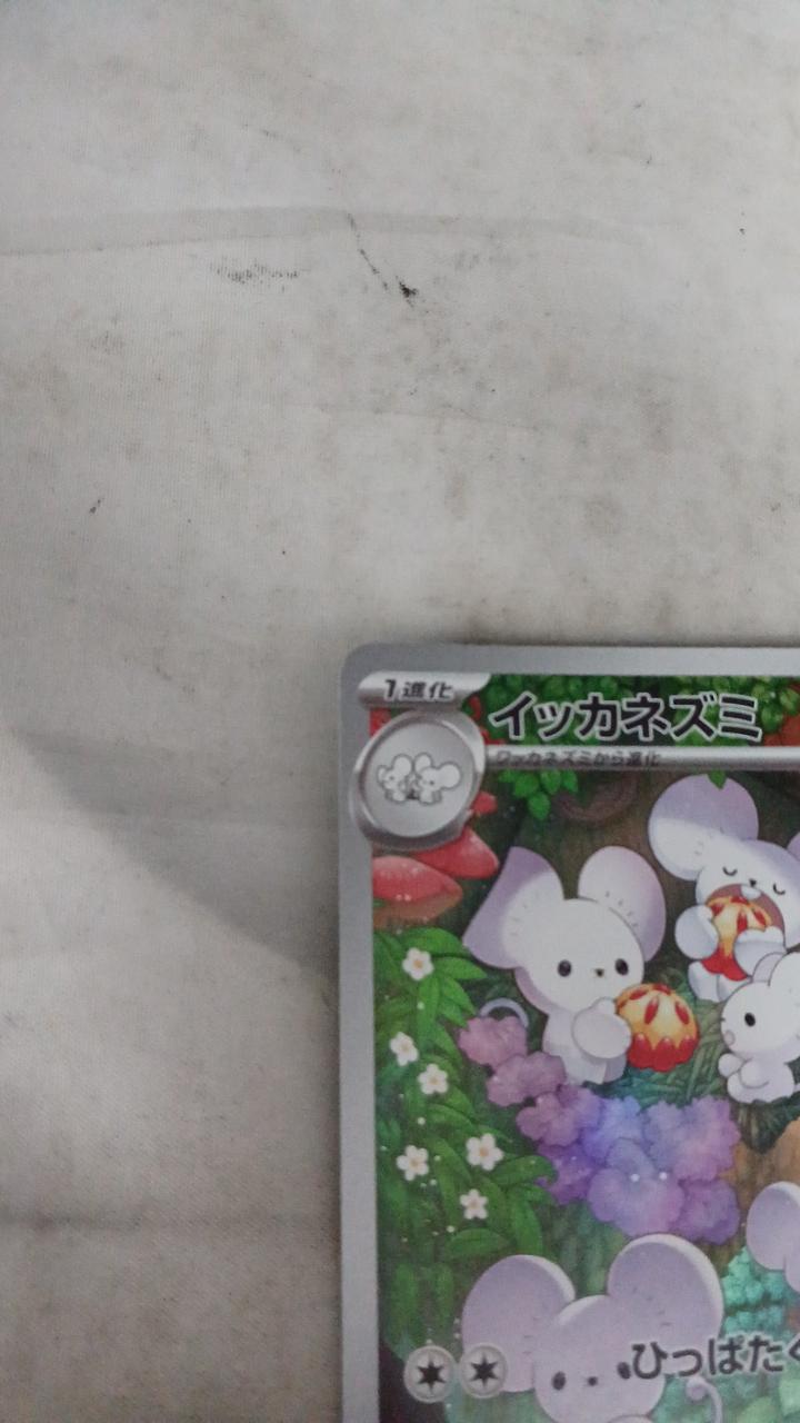 Pokémon Squid rat 081/071