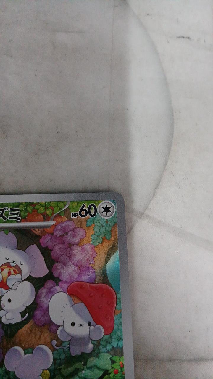 Pokémon Squid rat 081/071