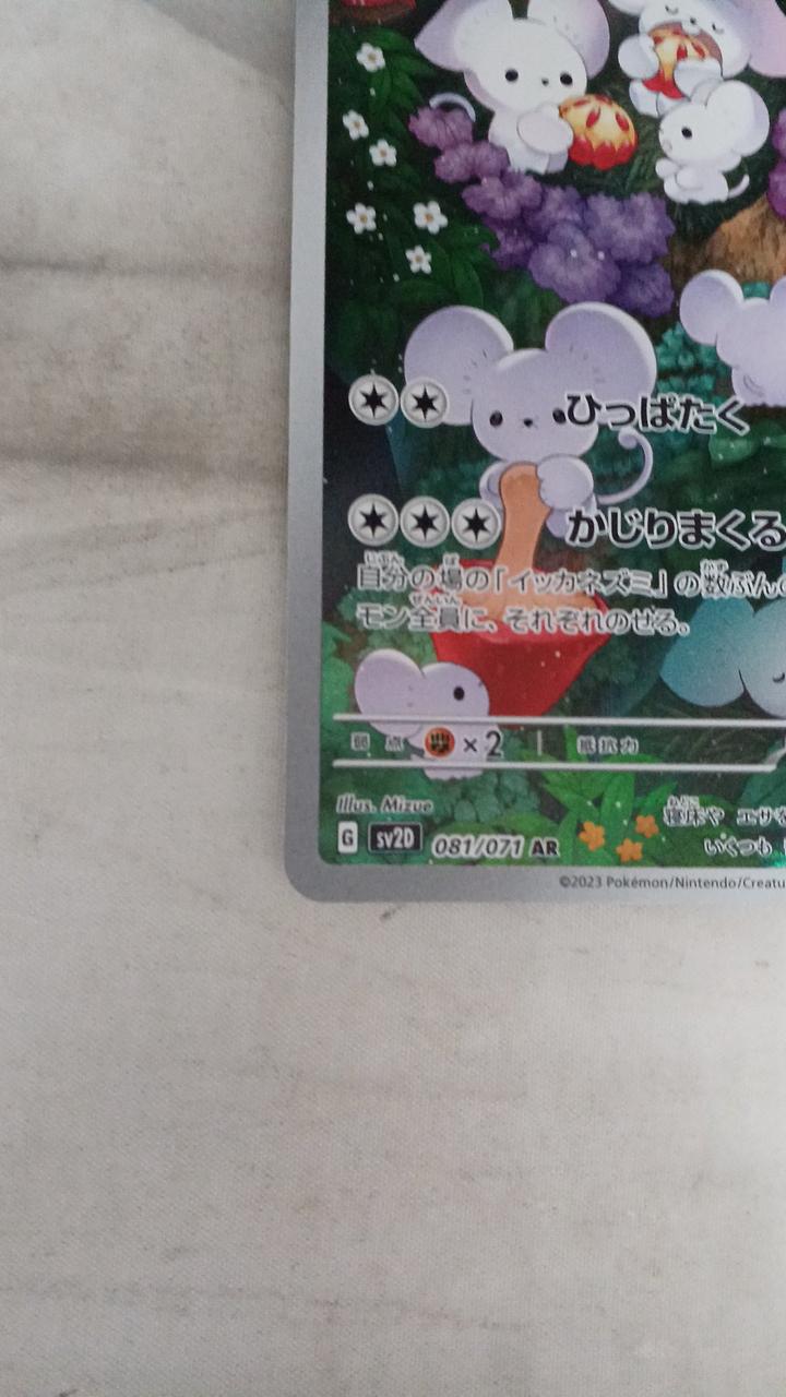 Pokémon Squid rat 081/071