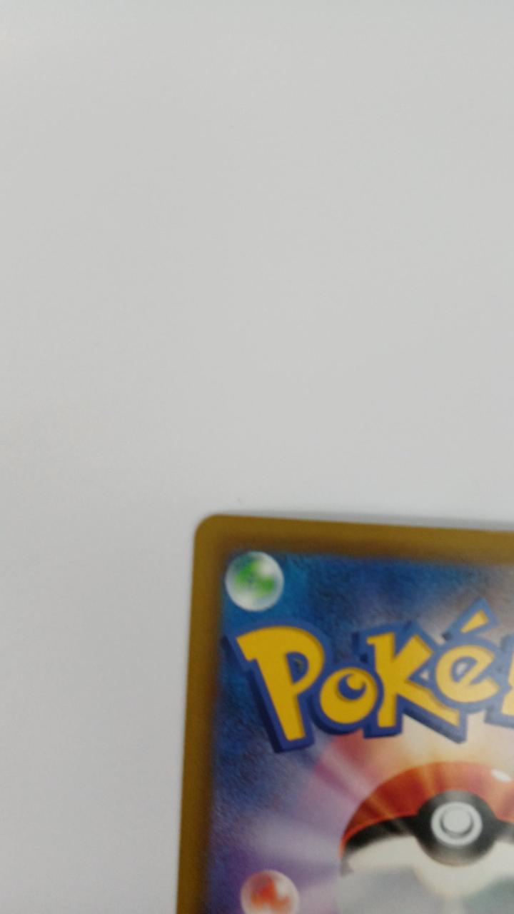 Pokémon Card Grodon 084/076