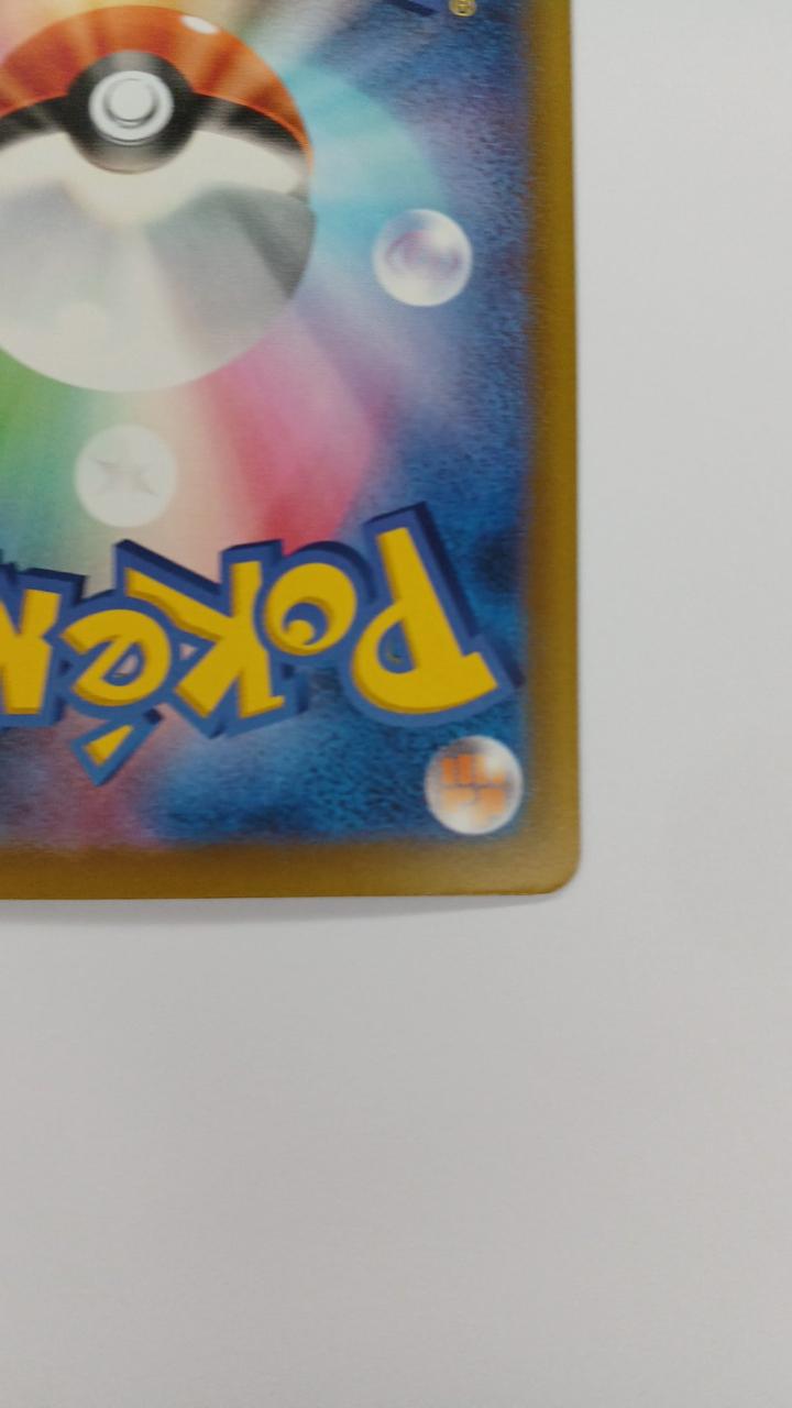 Pokémon Card Grodon 084/076
