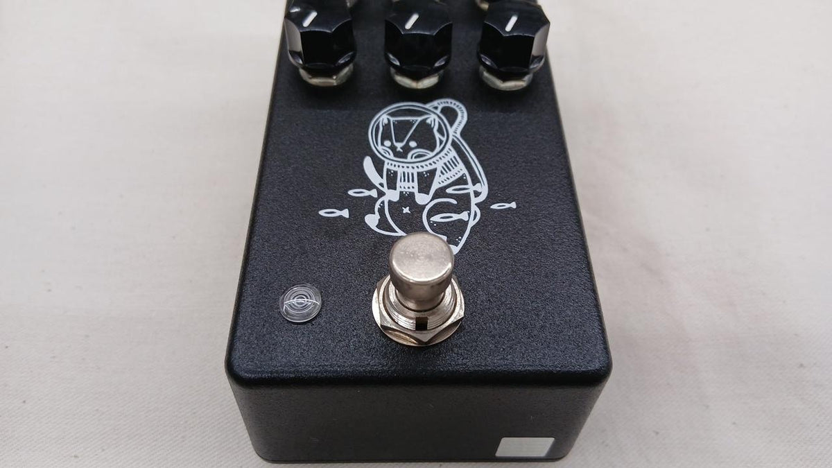 D-SOUND Effects & Distortion Effects FISHERMAN