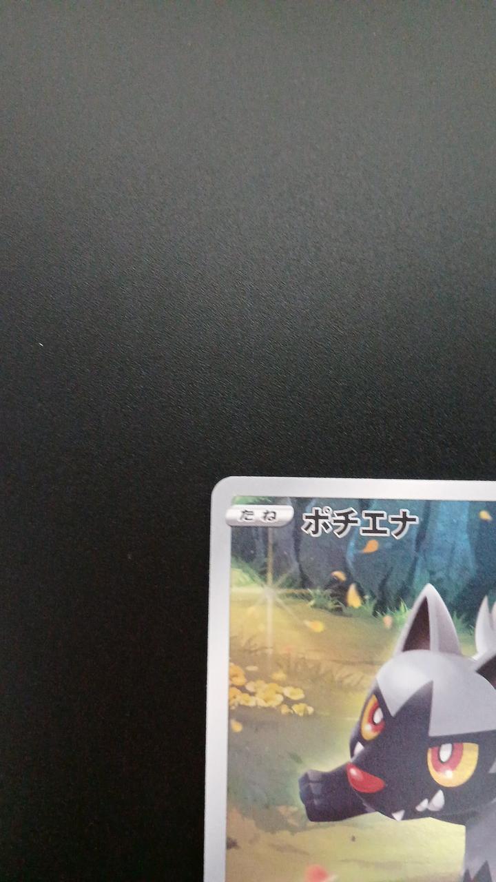 Pokémon Pochiena 208/172/S12A/B AR (Artrae)