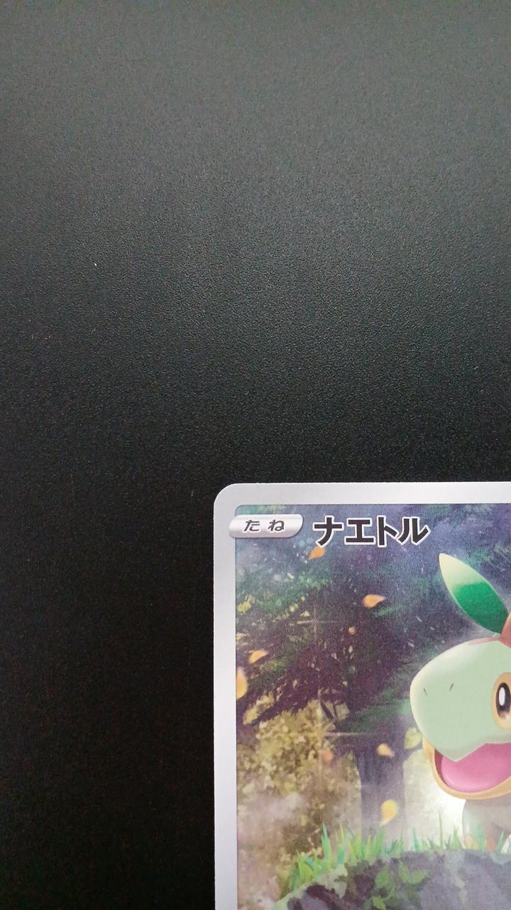 Pokémon Naetre 206/172/S12A/B AR (Artrea)