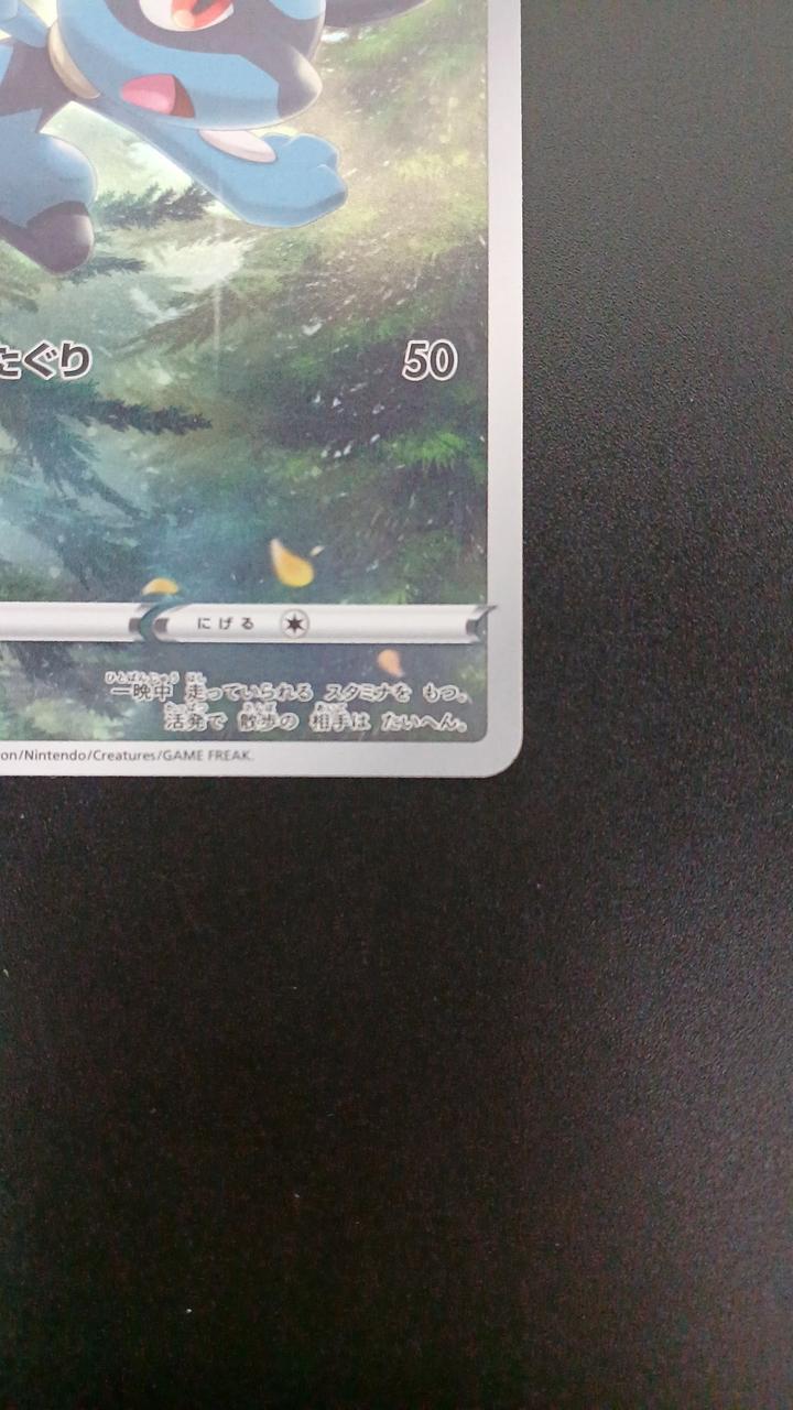 Pokémon Riol 201/172/S12A/B AR (Artrea)