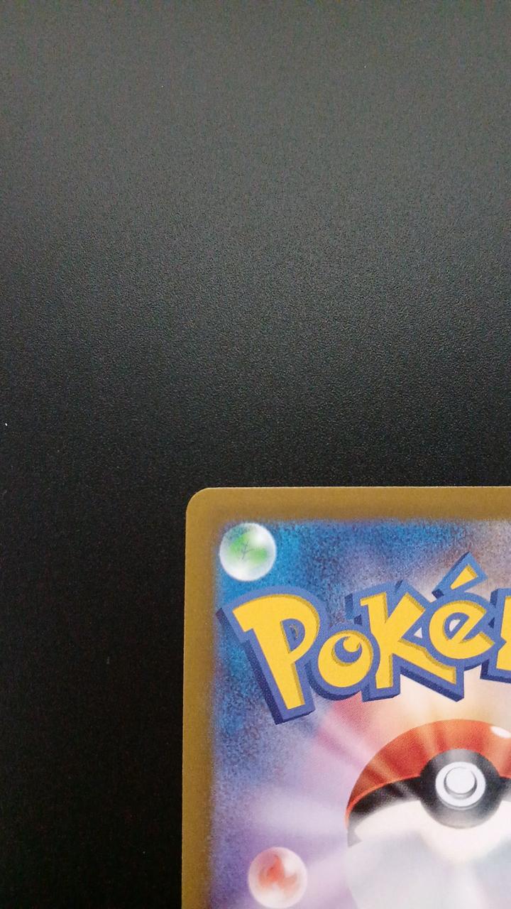 Pokémon Riol 201/172/S12A/B AR (Artrea)