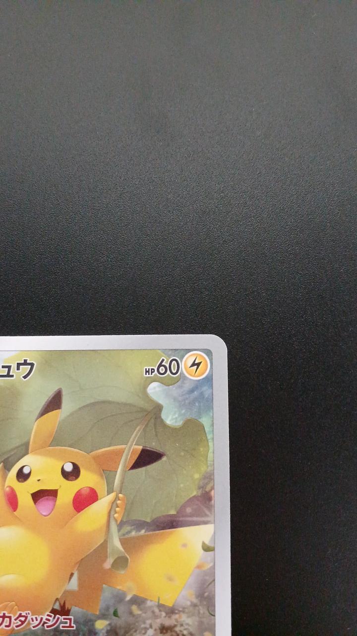 Pokémon Pikachu 205/172/S12A/B AR (Artrae)