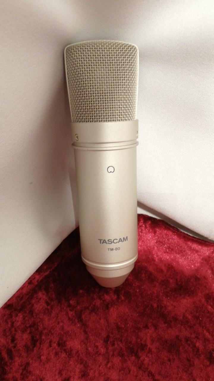 TASCAM Condenser Microphone TM-80