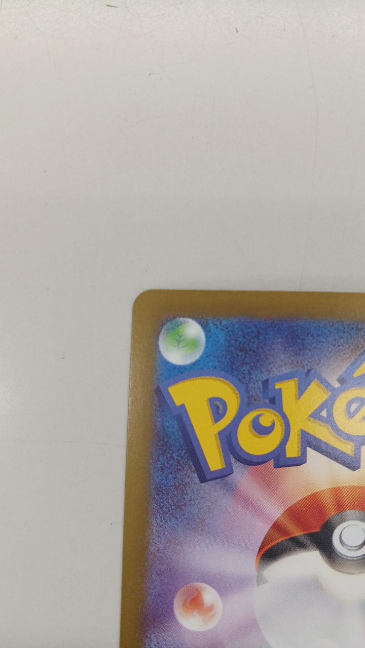 Pokémon Rare Card Mega Zigarde EX