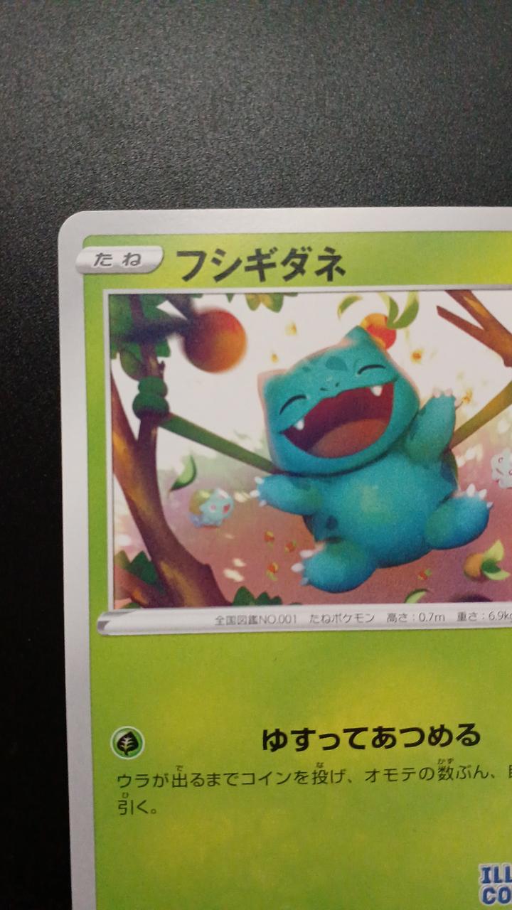Pokémon Bulbasaur 337/S/P Promo Card