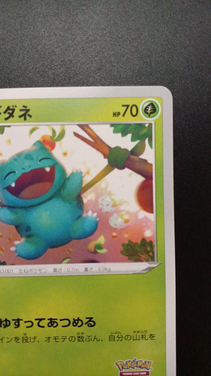 Pokémon Bulbasaur 337/S/P Promo Card