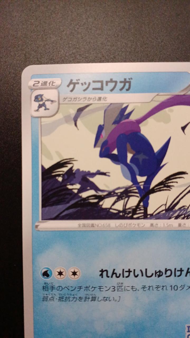 Pokémon Greninja 339/S/P Promo Card