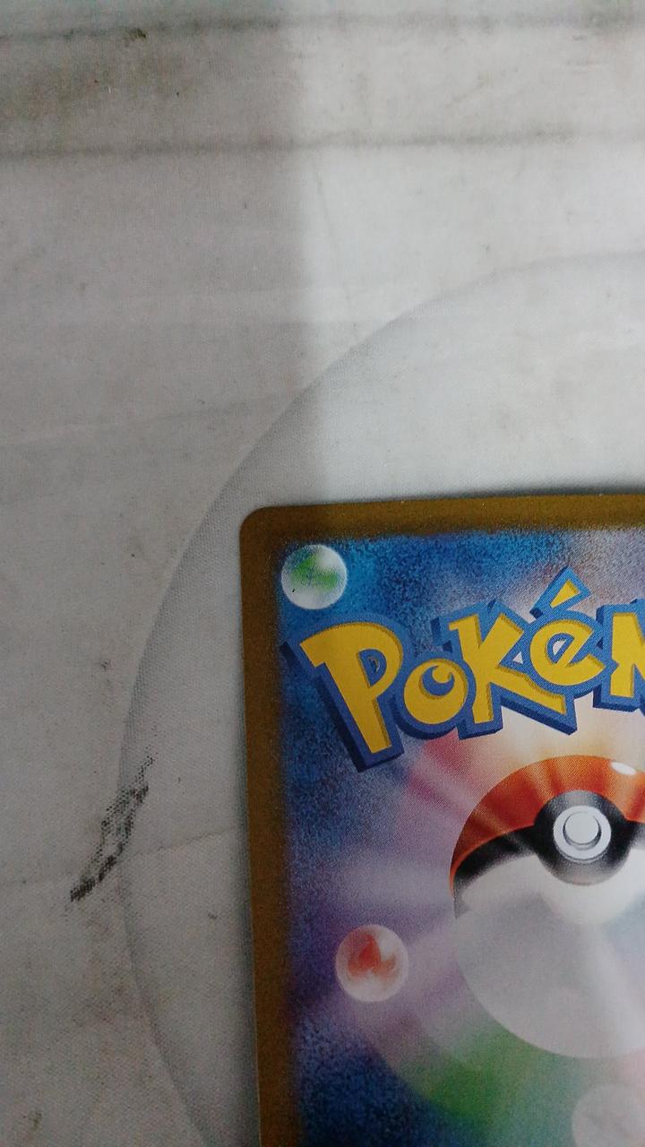 Pokémon Card Pidgeot EX 136/108
