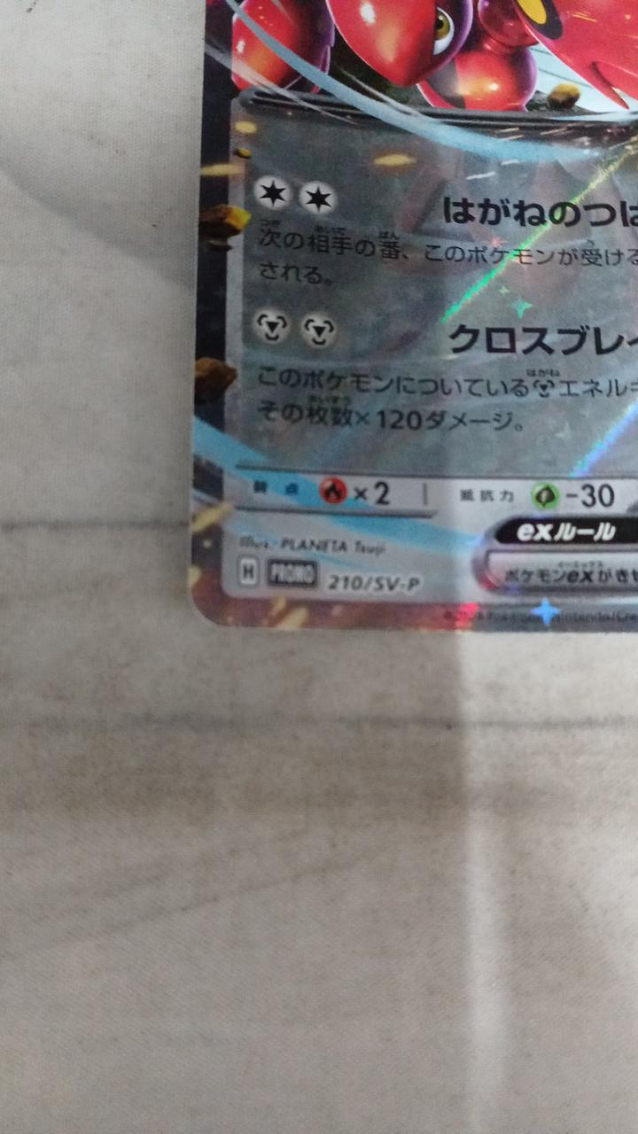 Pokémon Hassam EX 210/SV-P
