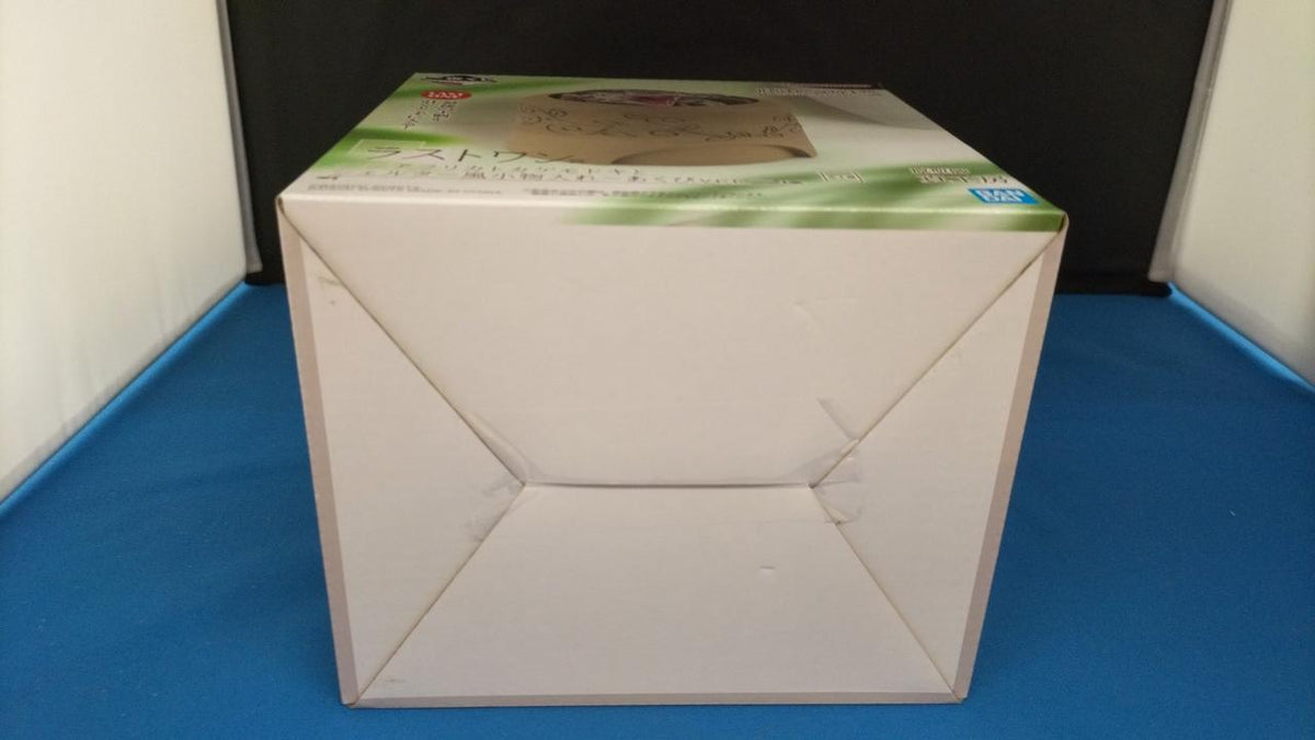 Bandai Ichiban Kuji Reptile & Amphibian Last One Prize Western African Gecko and Shelter-Style Accessory Case