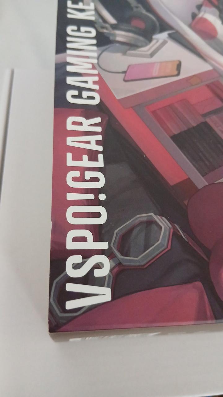 VSPOGEAR Gaming Keyboard VSPO-KB