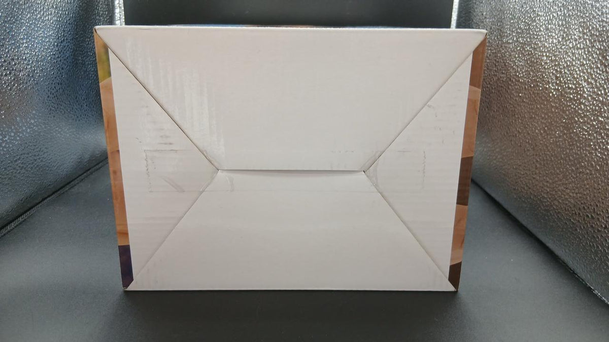 BANDAI Prize B: Raditz Ichiban Kuji Dragon Ball VS Omnibus Amazing