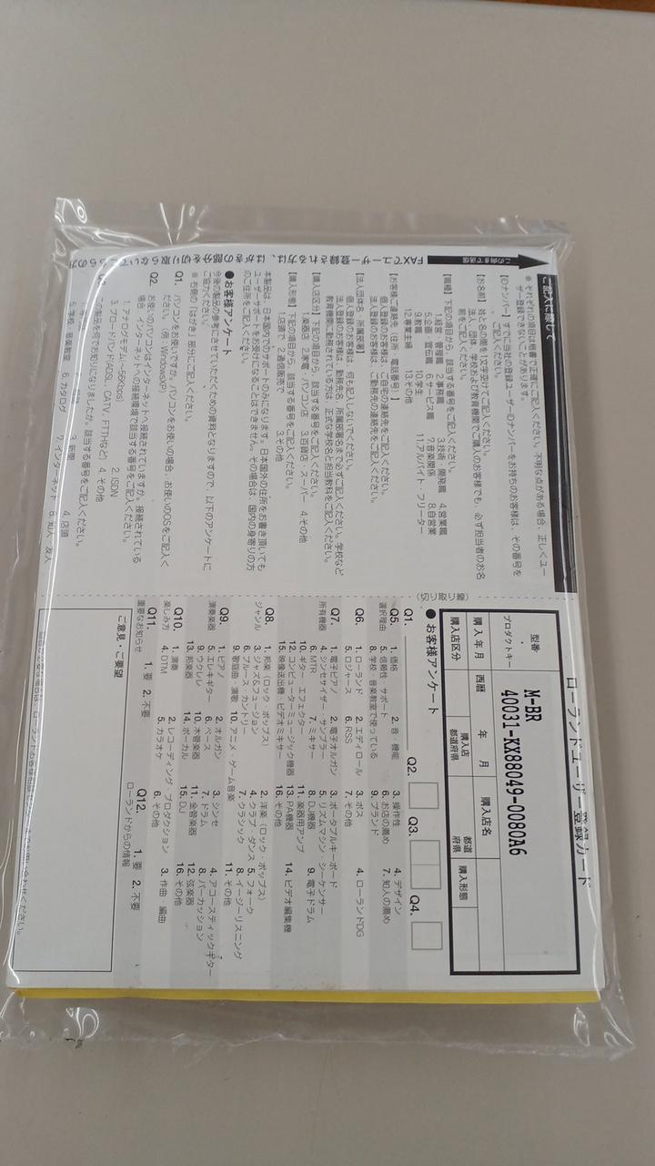 BOSS Digital Recorder MICRO BR