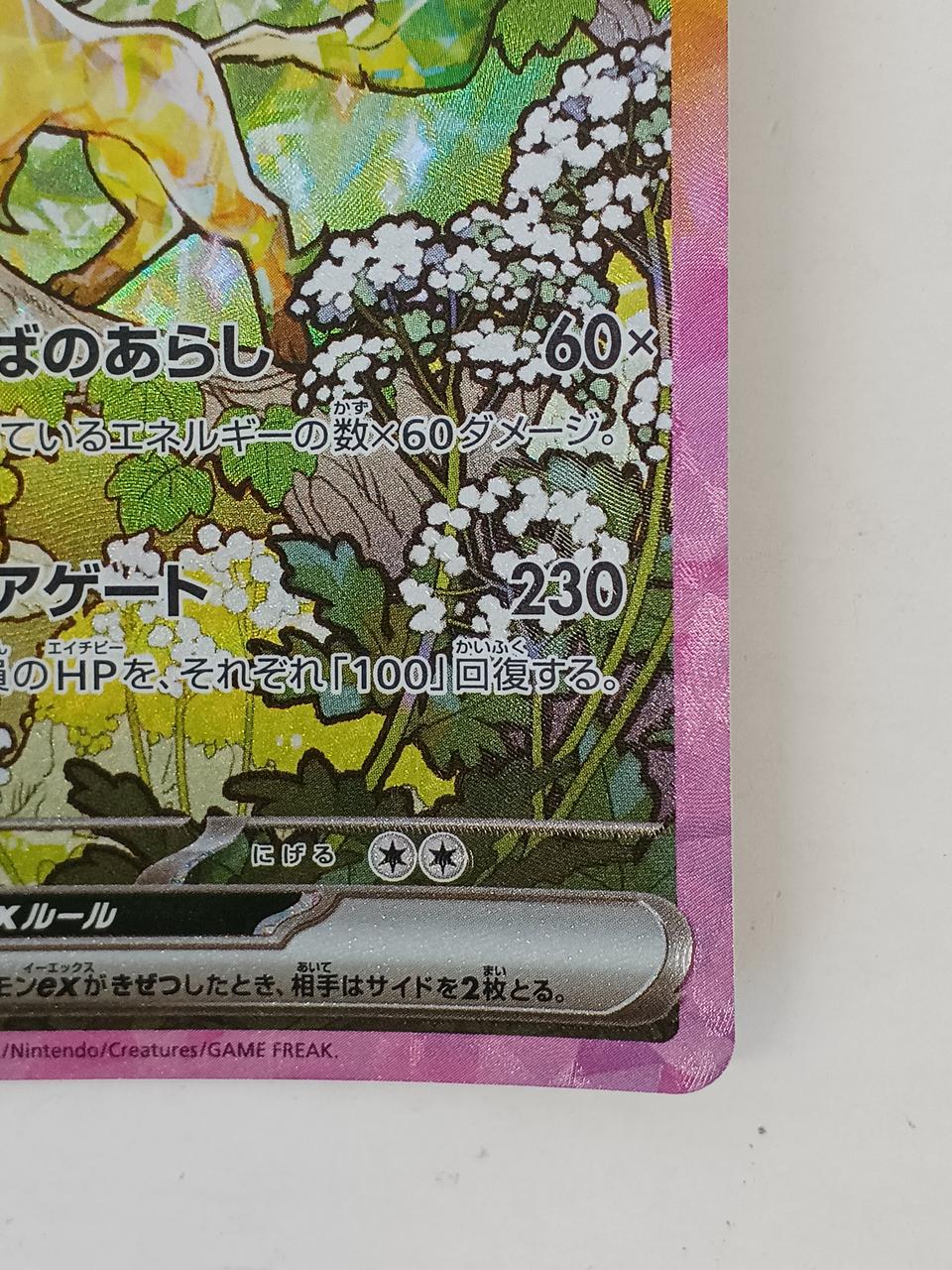 Pokémon Pokémon Card Leafee EX