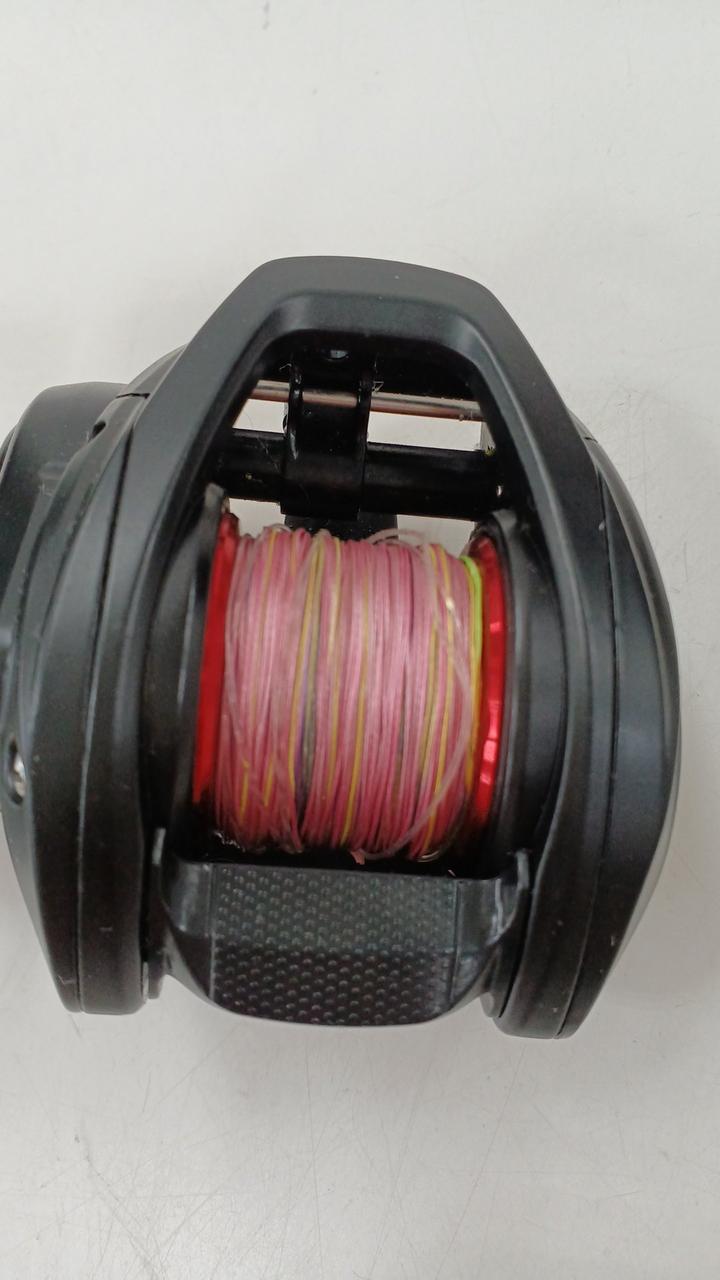 DAIWA Baitcasting Reel 6.3 PR100