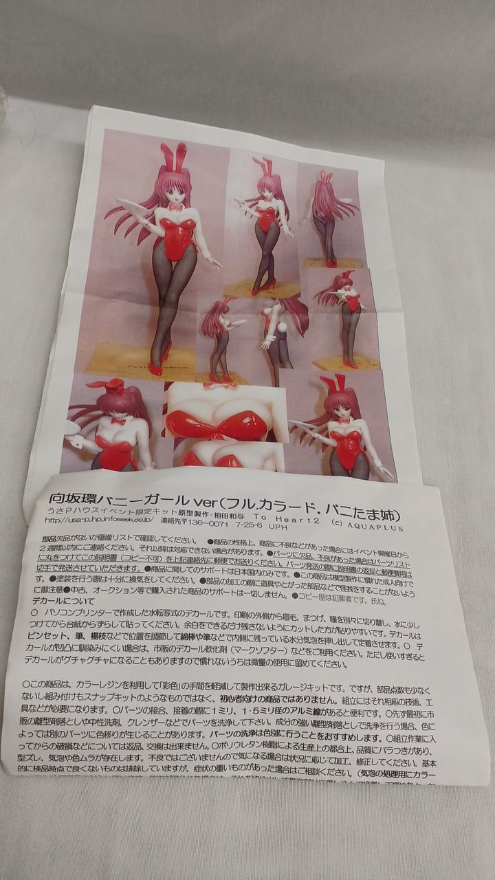 UsaP House Garage Kit Full Color Bunnytama Nee - Banzai Thrifting | BanzaiHobby