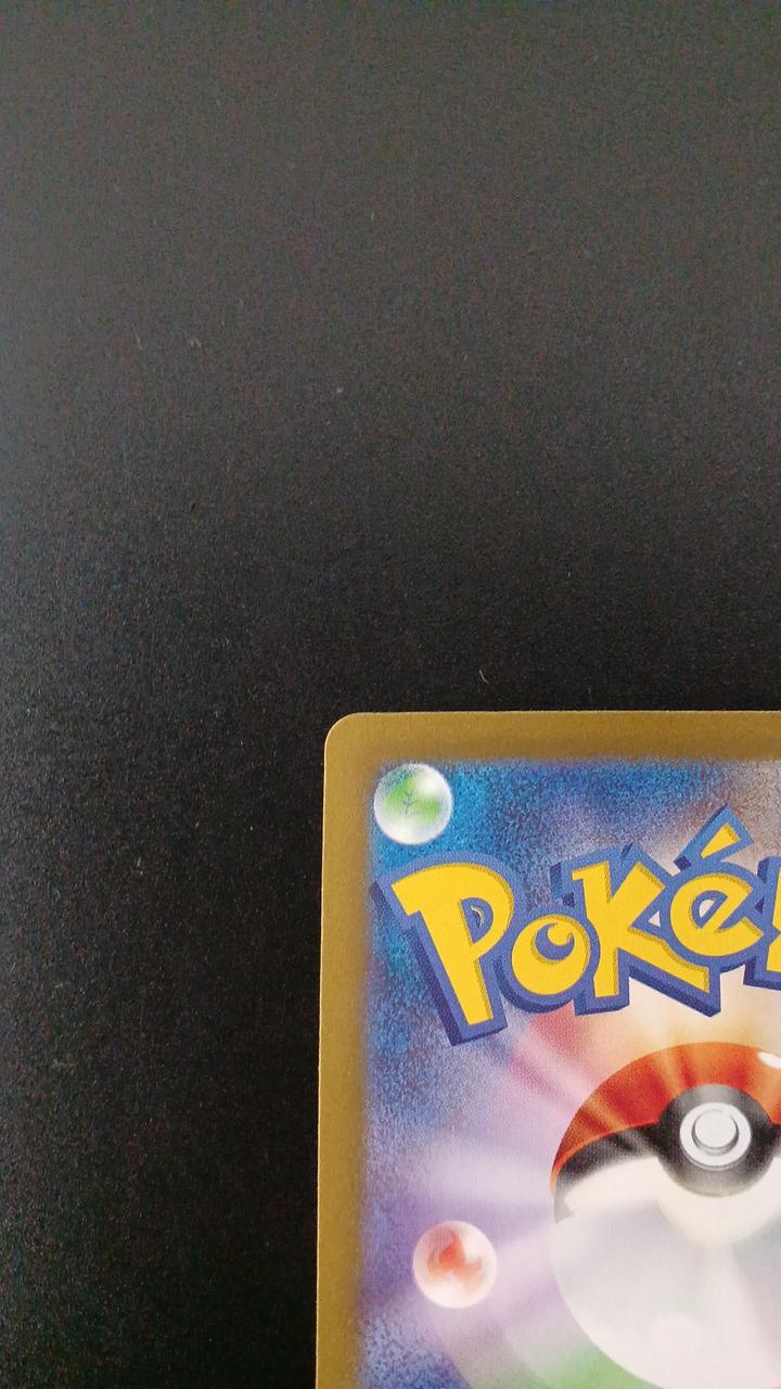 Pokémon Tetsunokaina EX 088/066/SV4M/B SAR