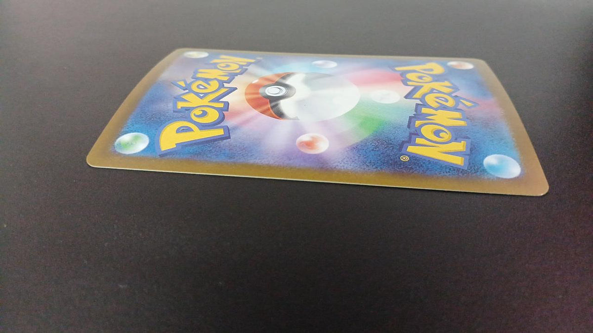Pokémon Daigo Dunbar 019/018/SVOD/B Other (No Rarity)
