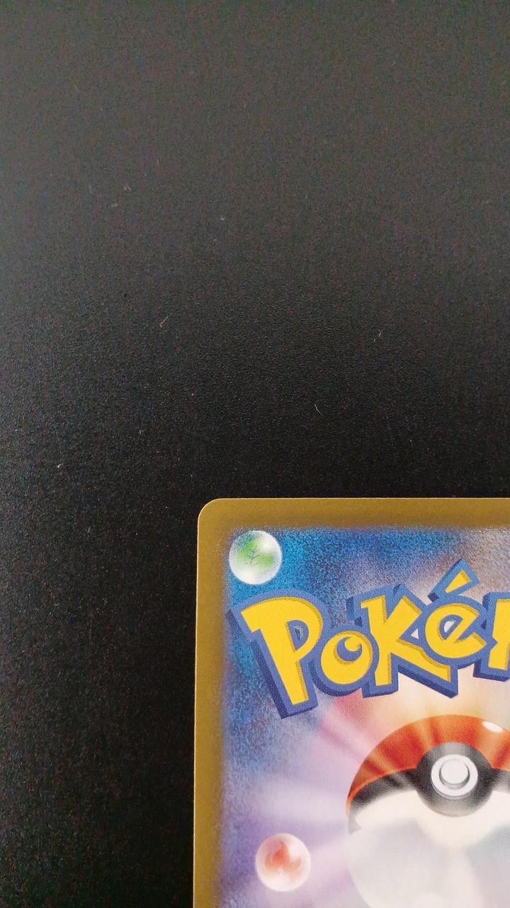 Pokémon Parasol Lady 084/062/SV3A/B SR (Super Rare)