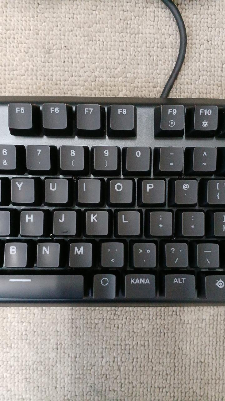 STEELSERIES Gaming Keyboard KB-00013