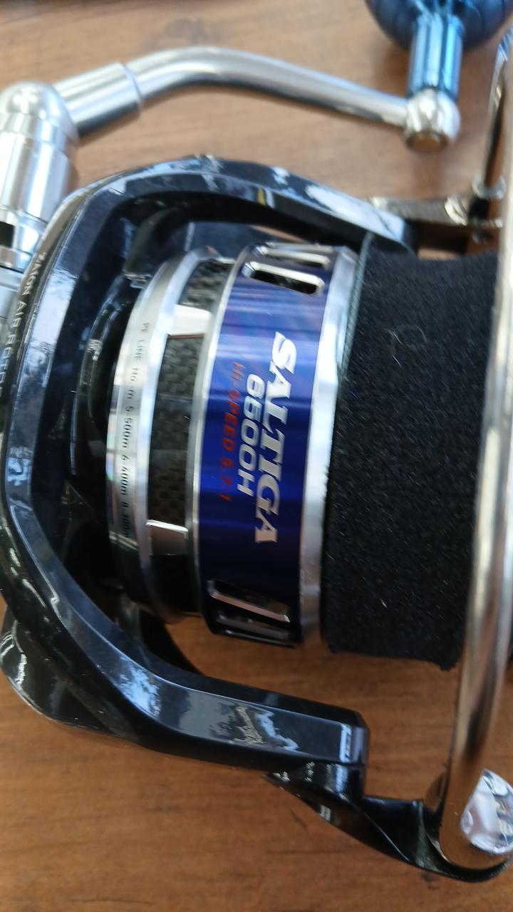 DAIWA Spinning Reel 10 SALTIGA 6000GT