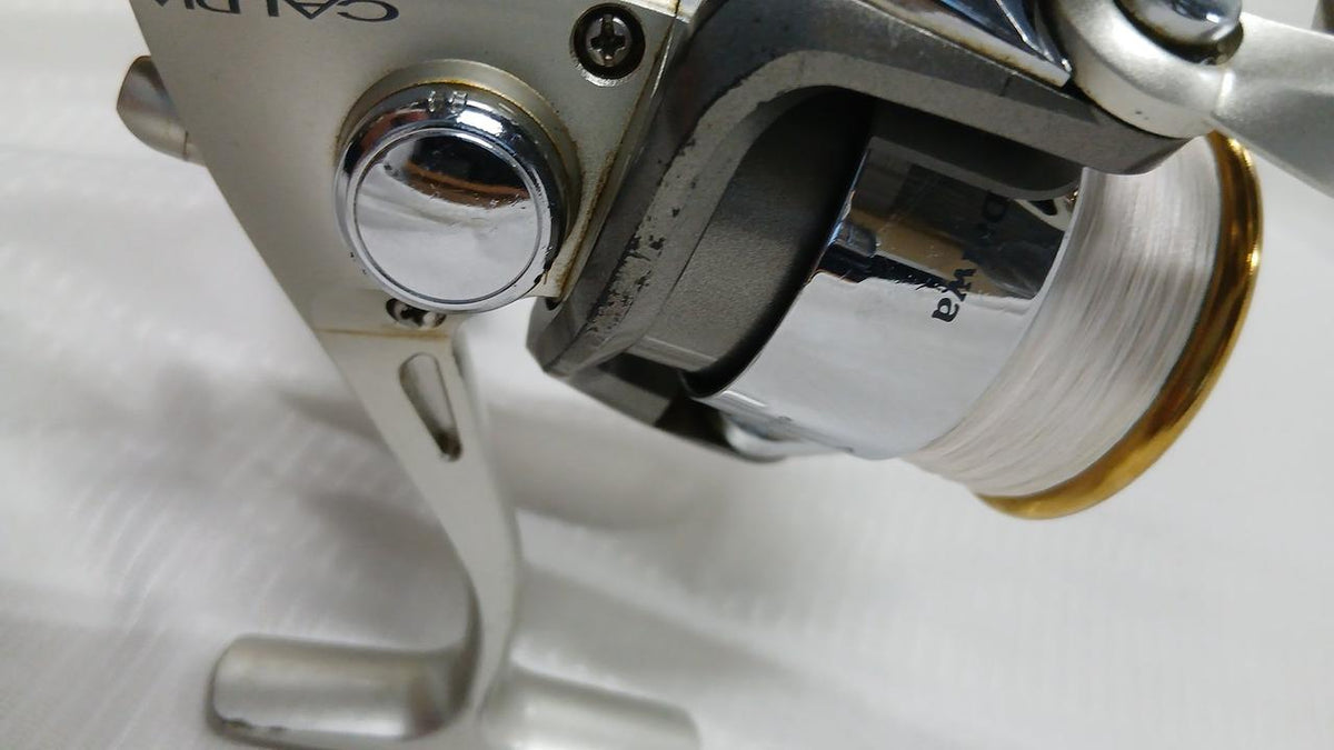 DAIWA [NET Exclusive] Spinning Reel CALDIA 2000 - Banzai Thrifting | BanzaiHobby