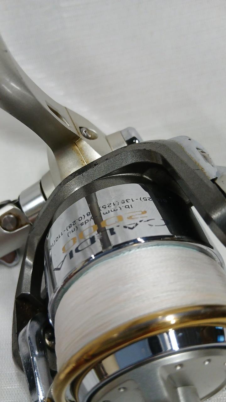 DAIWA [NET Exclusive] Spinning Reel CALDIA 2000 - Banzai Thrifting | BanzaiHobby