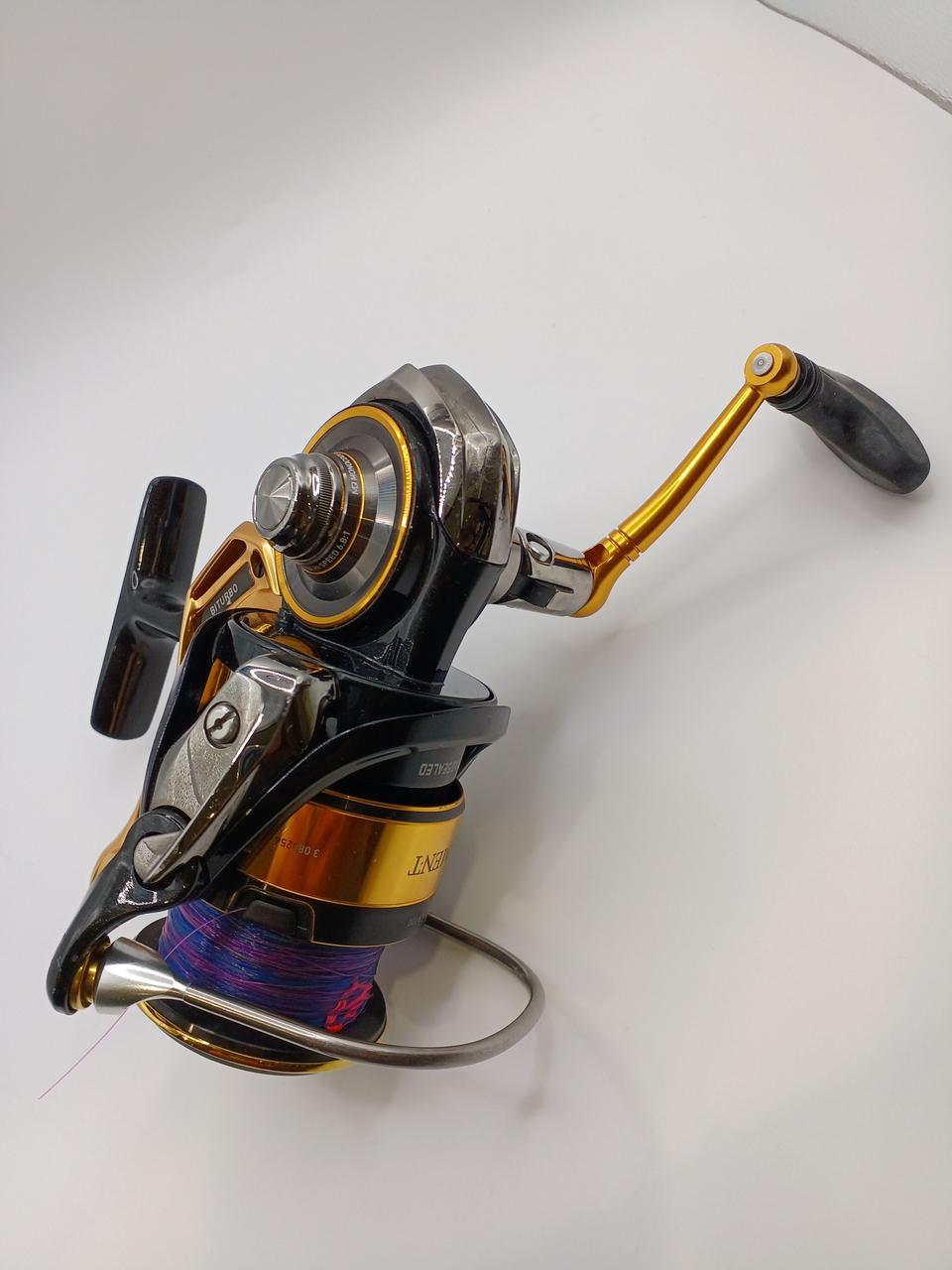 DAIWA TOURNAMENT 300XH-LBD - Banzai Thrifting | BanzaiHobby